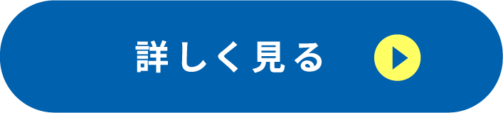 詳しく見る